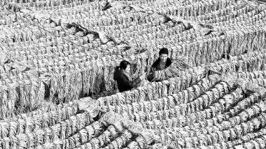 甘肅持續(xù)放大政府基金撬動效應(yīng)